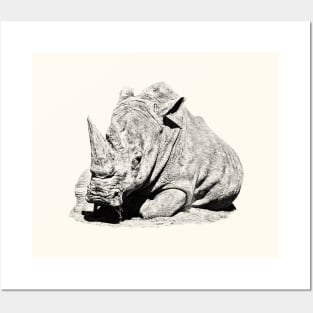 Rhinoceros Posters and Art